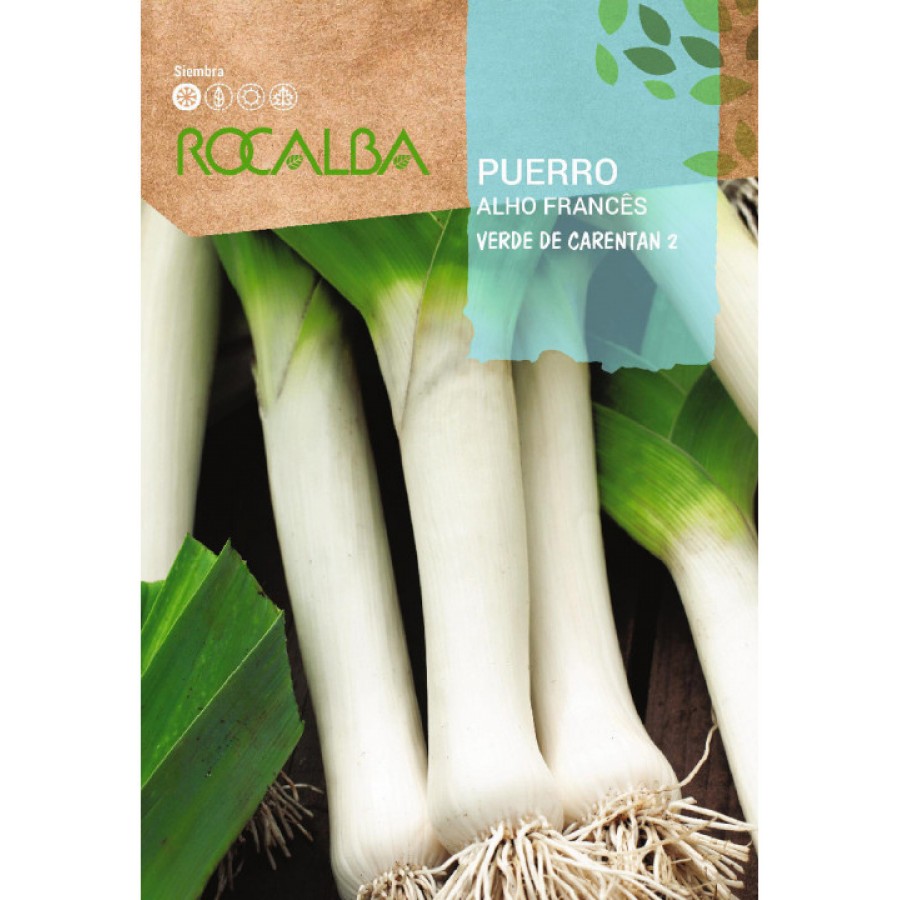 S.ALHO FRANCES ROCALBA CARENTA
