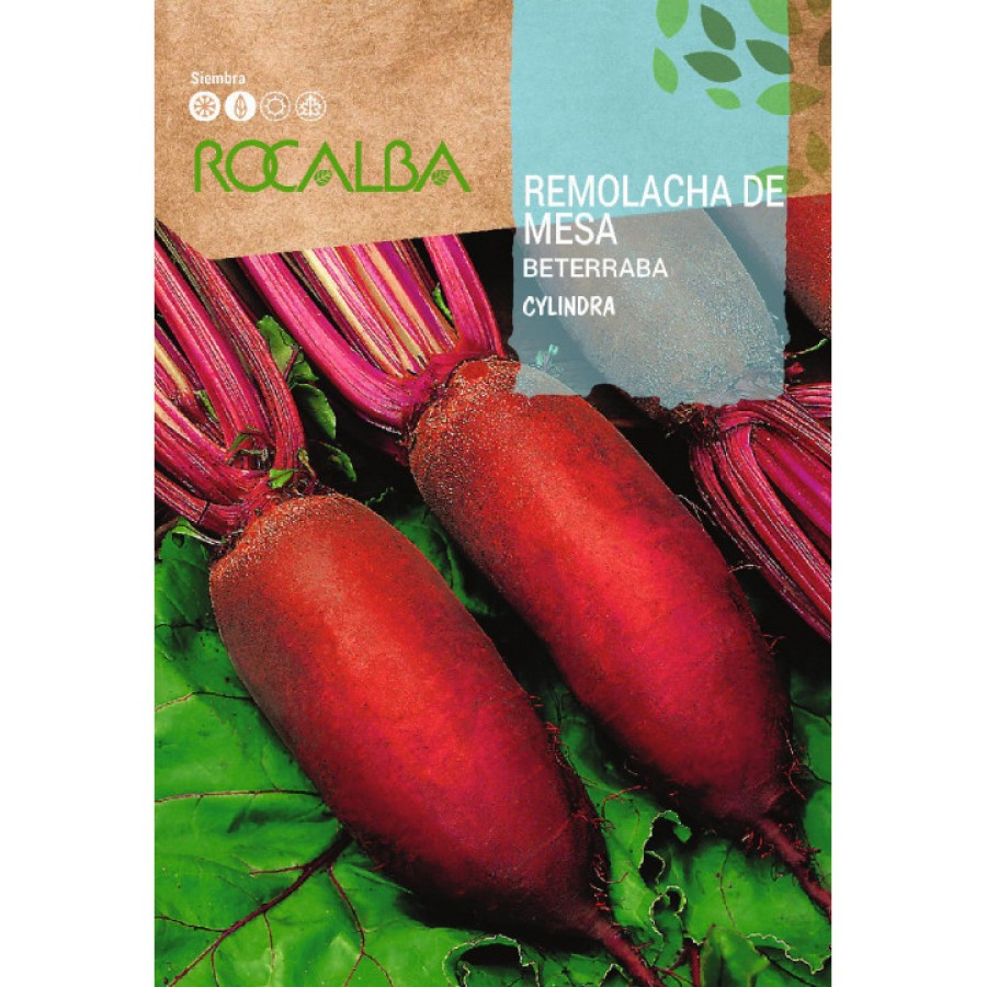 S.BATERRABA ROCALBA CILINDRICA S.BATERRABA ROCALBA CILINDRICA