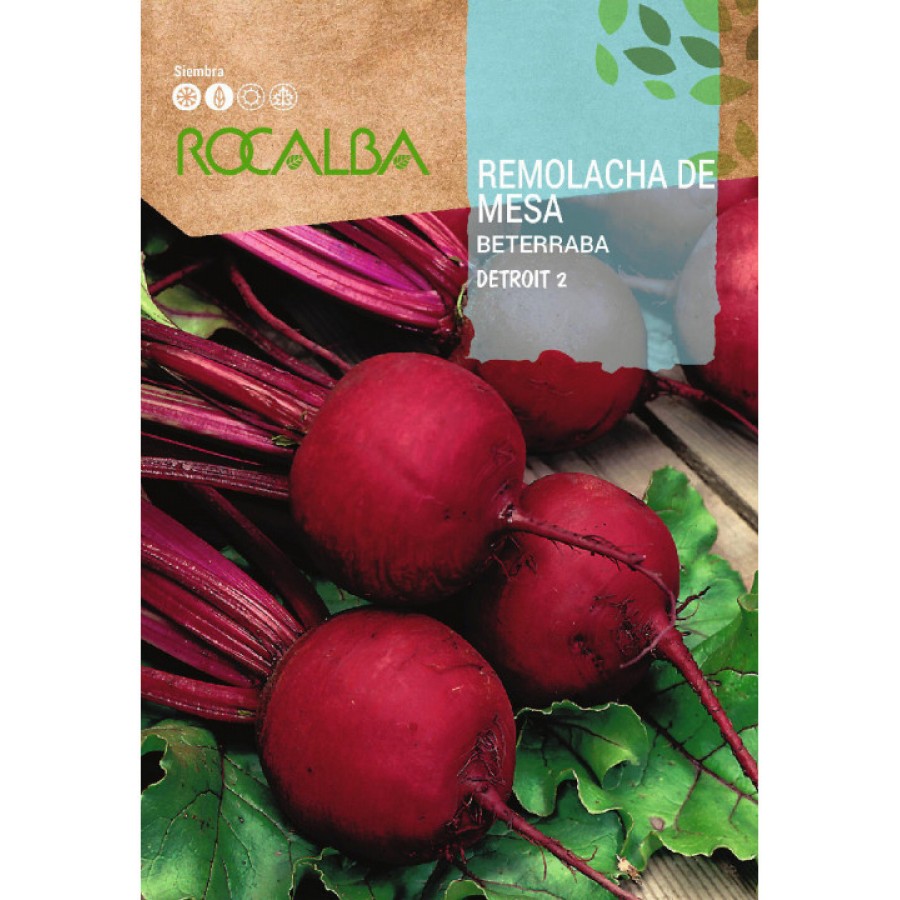 S.BATERRABA ROCALBA DETROIT S.BATERRABA ROCALBA DETROIT