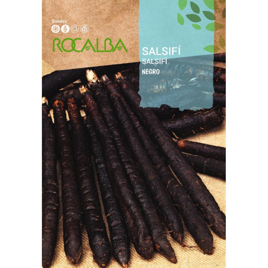 S.SALSIFI ROCALBA NEGRO