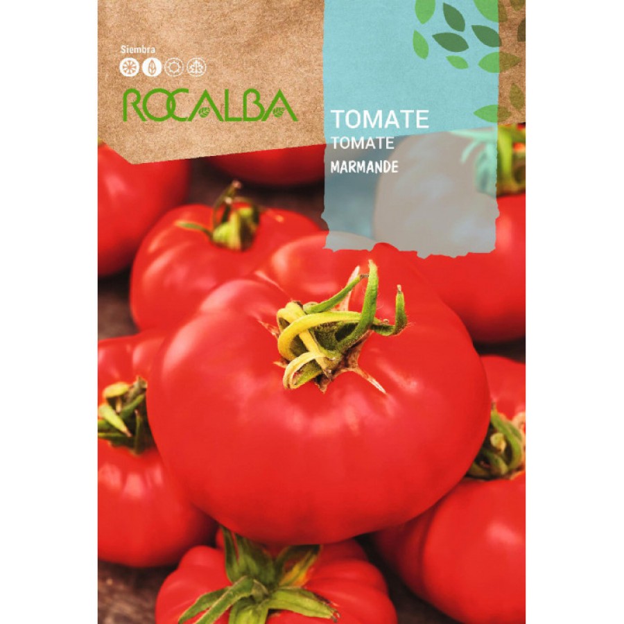 S.TOMATE ROCALBA MARMANDE