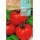 S.TOMATE ROCALBA SAINT PIERRE