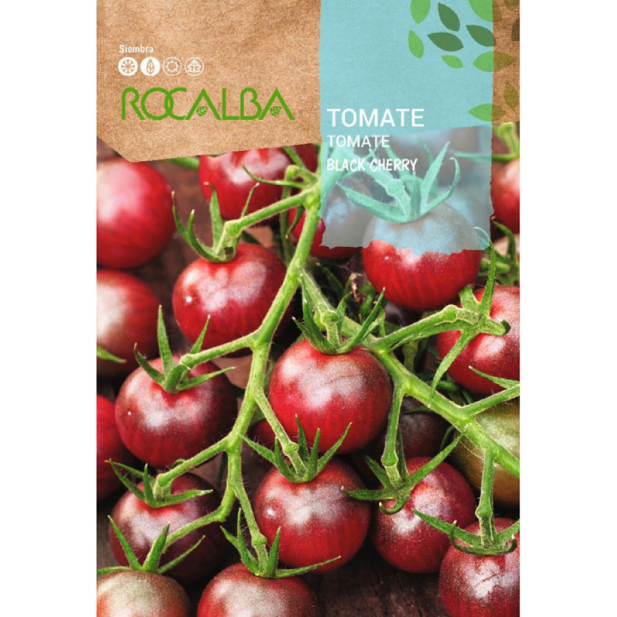 S.TOMATE ROCALBA BLACK CHERRY S.TOMATE ROCALBA BLACK CHERRY