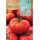 S.TOMATE ROCALBA MUCHAMIEL- 100 GRAMAS