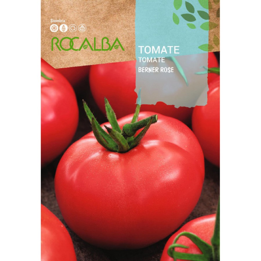 S.TOMATE ROCALBA ROSA DE BERNA S.TOMATE ROCALBA ROSA DE BERNA