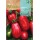 S.TOMATE ROCALBA ROMA