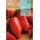 S.TOMATE ROCALBA ANDINO