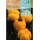 S.TOMATE ROCALBA AMARELO STUFFER