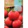 S.TOMATE ROCALBA ACE 55 VF
