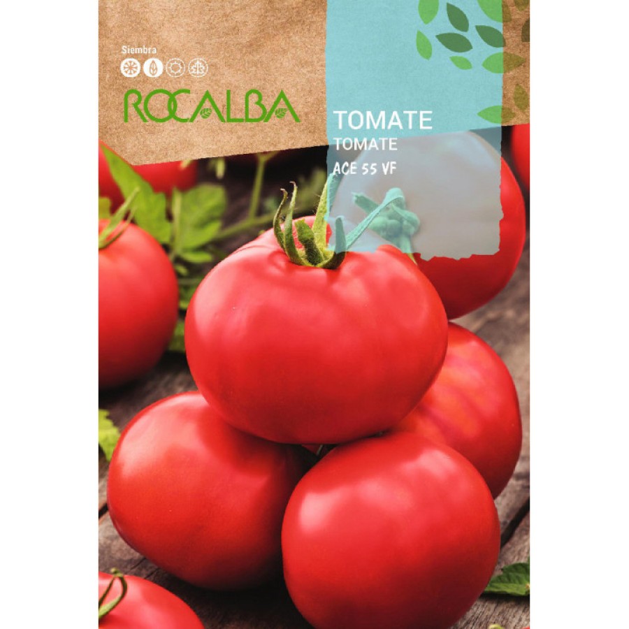 S.TOMATE ROCALBA ACE 55 VF S.TOMATE ROCALBA ACE 55 VF