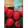 S.TOMATE ROCALBA RIO GRANDE