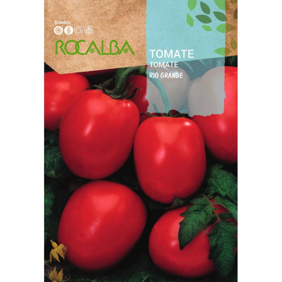 S.TOMATE ROCALBA RIO GRANDE S.TOMATE ROCALBA RIO GRANDE