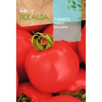 S.TOMATE ROCALBA TRES CANTOS S.TOMATE ROCALBA TRES CANTOS