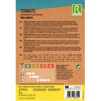 S.TOMATE ROCALBA TRES CANTOS S.TOMATE ROCALBA TRES CANTOS