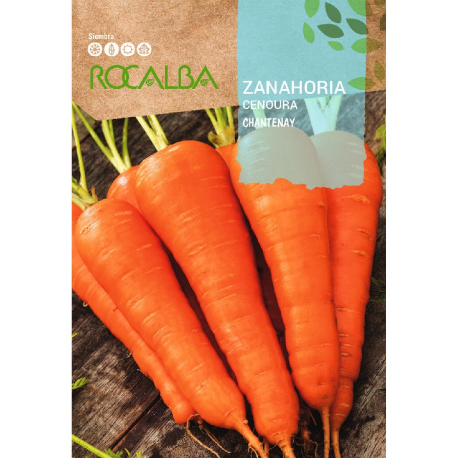 S.CENOURA ROCALBA CHANTENAY