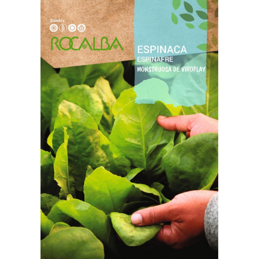 S.ESPINAFRE ROCALBA VIROFLAY S.ESPINAFRE ROCALBA VIROFLAY
