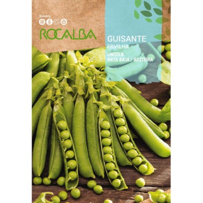 S.ERVILHA GRAO LINCOLN  - CAIXA 250 GR