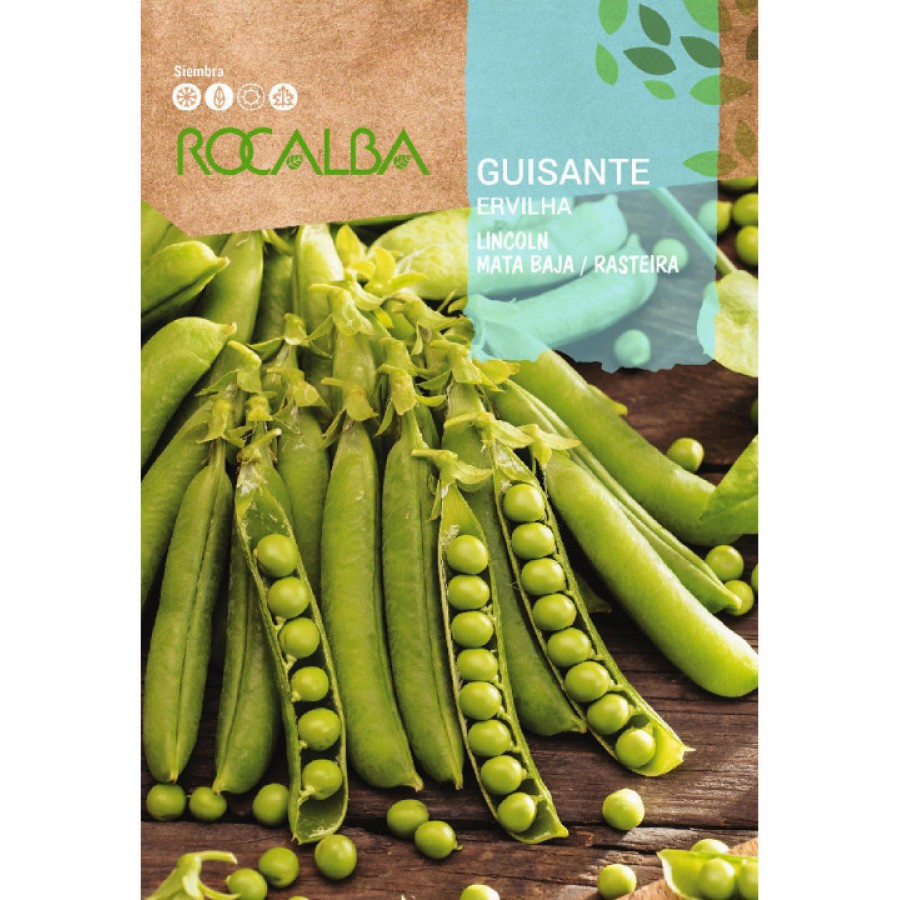 S.ERVILHA GRAO LINCOLN - CAIXA 250 GR S.ERVILHA GRAO LINCOLN - CAIXA 250 GR