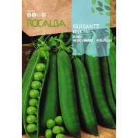 SEMENTE ERVILHA GRAO 1/2 ESTACA RONDO - 70GR SEMENTE ERVILHA GRAO 1/2 ESTACA RONDO - 70GR