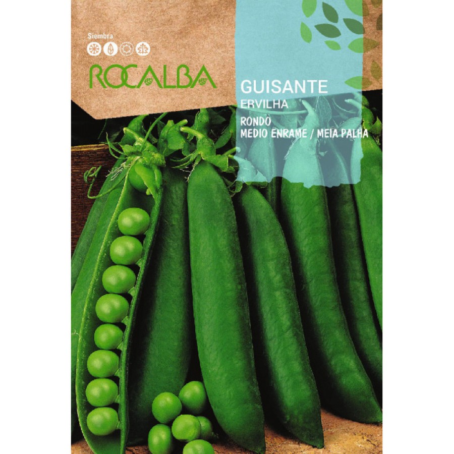 SEMENTE ERVILHA GRAO 1/2 ESTACA RONDO - 70GR SEMENTE ERVILHA GRAO 1/2 ESTACA RONDO - 70GR