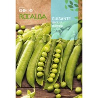 S.ERVILHA GRAO ROCALBA TELEVISION -70GR