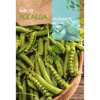 S.ERVILHA GRAO ROCALBA UTRILLO -70GR