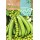 S.ERVILHA GRAO RASTEIRA DULCE PROVENZA - 70GR