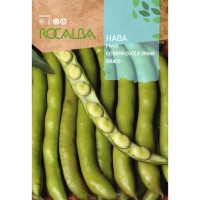 S.FAVA ROCALBA EXTRAPRECOCE A GRANO BIANCO