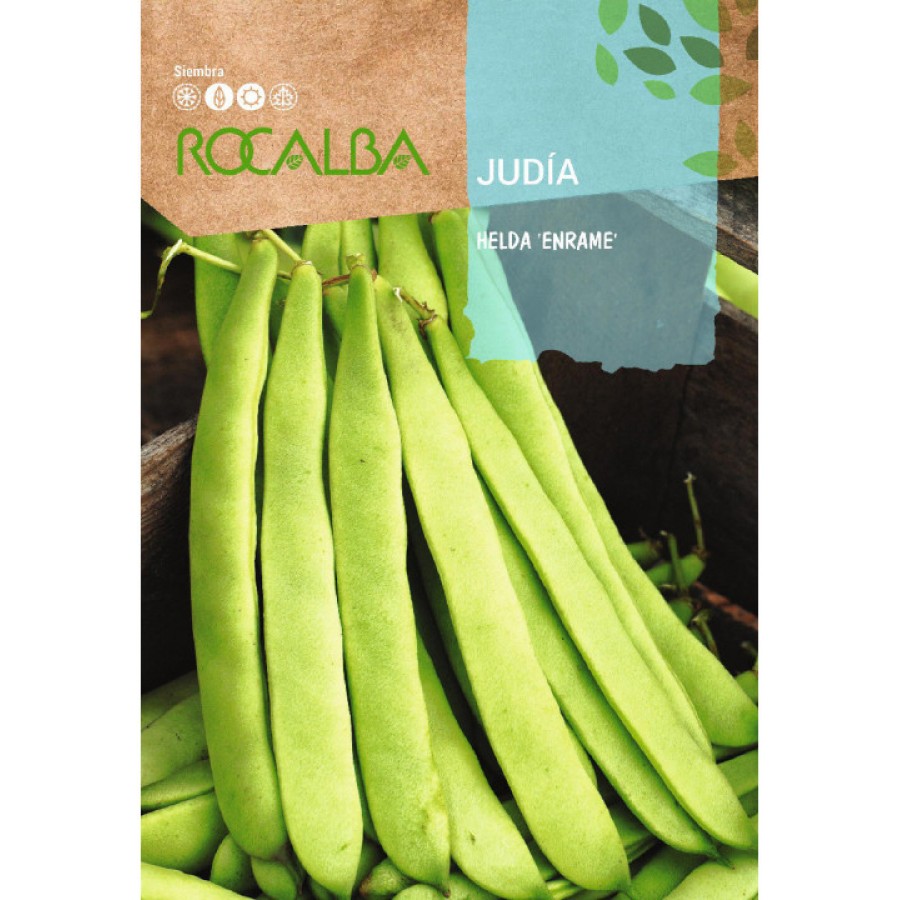 S.FEIJAO VAGEM ESTACA HELDA   - CX250GR