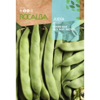 S.FEIJAO RO.VAGE ROMANO - 50 GR S.FEIJAO RO.VAGE ROMANO - 50 GR