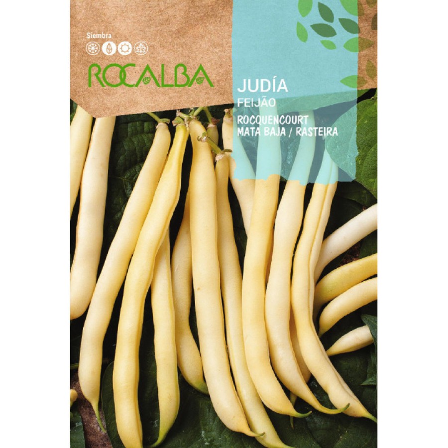 S.FEIJAO RO.VAGE ROCQUENCOURT    - 50 GR