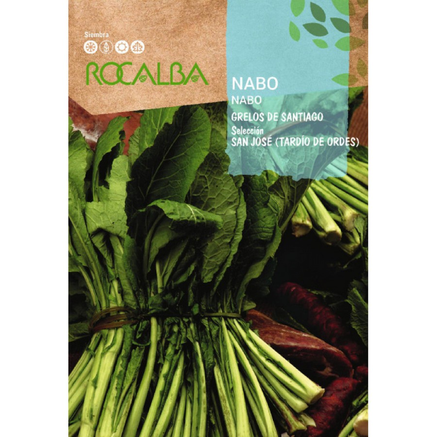 S.GRELOS ROCALBA DE SAO JOSE