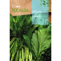 S.GRELOS ROCALBA DE SANTIAGO