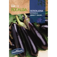 S.BERINGELA ROCALBA HIBRIDA F-1 BALUROI