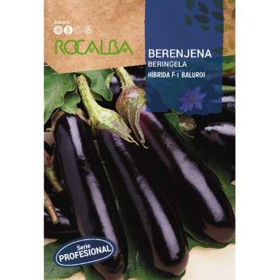 S.BERINGELA ROCALBA HIBRIDA F-1 BALUROI