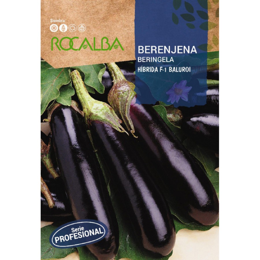 S.BERINGELA ROCALBA HIBRIDA F-1 BALUROI