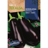 S.BERINGELA ROCALBA HIBRIDA F-1 BONICA