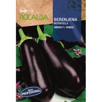 S.BERINGELA ROCALBA HIBRIDA F-1 BONICA