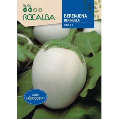 S.BERINGELA ROCALBA HIBRIDA F1 GAIA