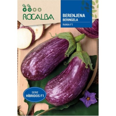 S.BERINGELA ROCALBA HIBRIDA F1 RANIA