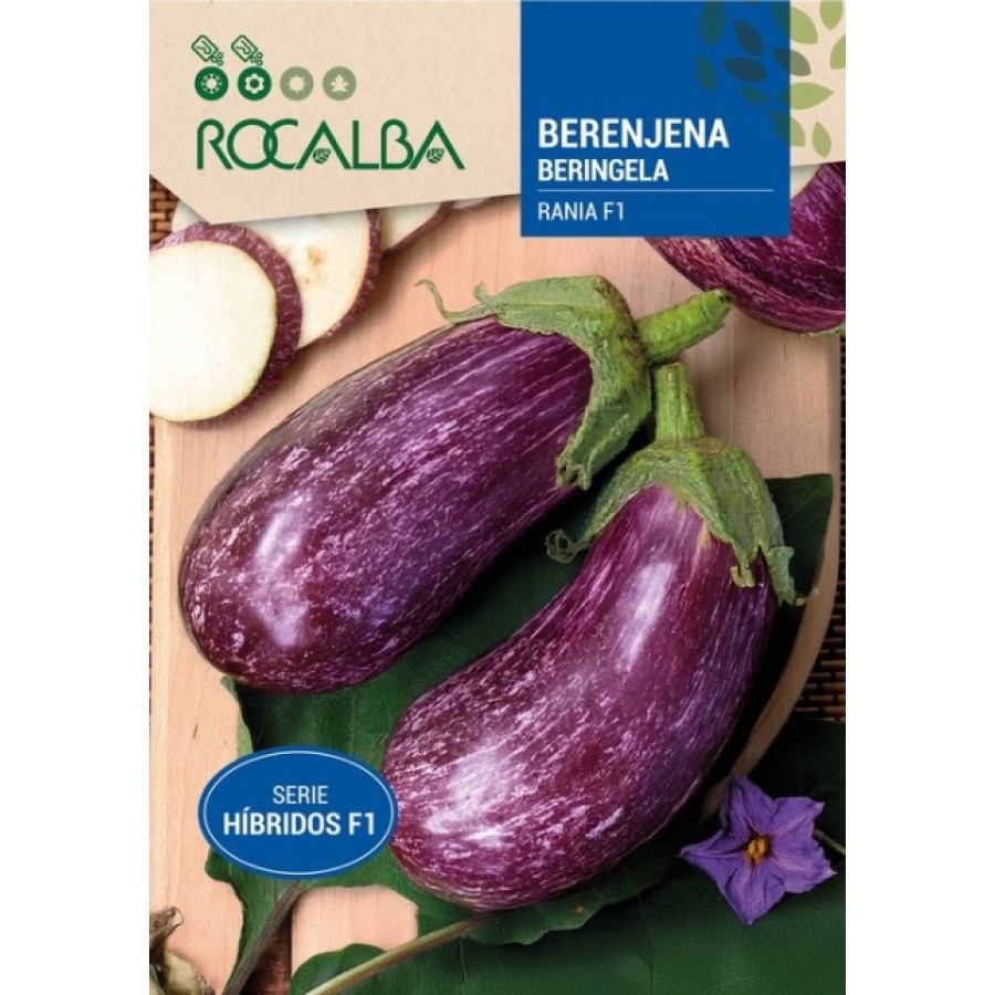 S.BERINGELA ROCALBA HIBRIDA F1 RANIA S.BERINGELA ROCALBA HIBRIDA F1 RANIA