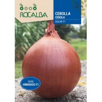 S.CEBOLA ROCALBA HIBRIDA F1 GOLDIE S.CEBOLA ROCALBA HIBRIDA F1 GOLDIE