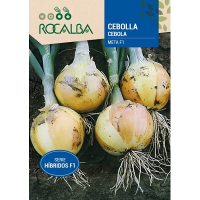 S.CEBOLA ROCALBA HIBRIDA F1 META