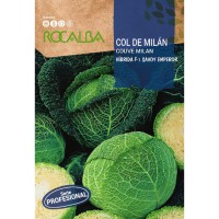 S.REPOLHO ROCALBA PROF.F-1 SAVOY - 80 SEMENTES