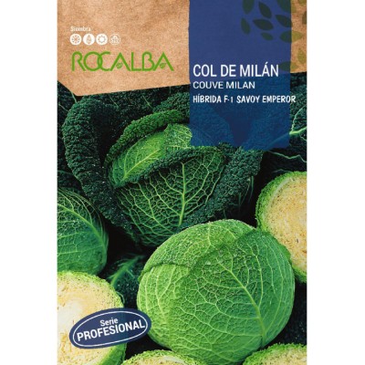 S.REPOLHO ROCALBA PROF.F-1 SAVOY - 80 SEMENTES