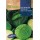 S.REPOLHO ROCALBA PROF.F-1 SAVOY - 80 SEMENTES