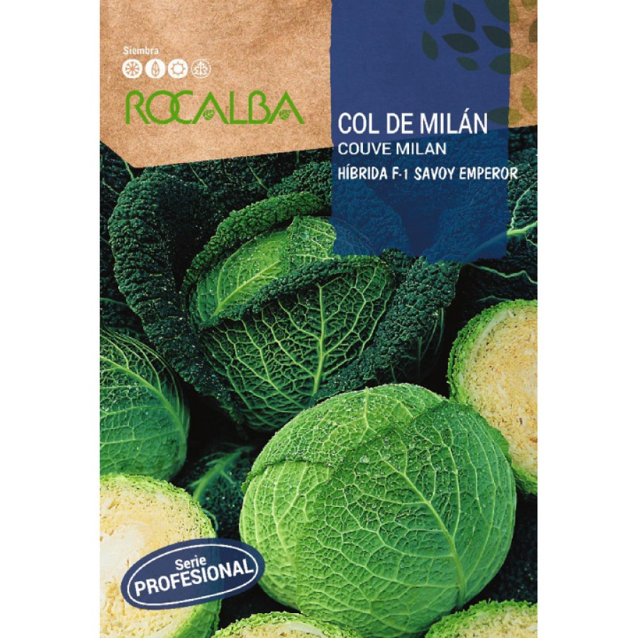 S.REPOLHO ROCALBA PROF.F-1 SAVOY - 80 SEMENTES