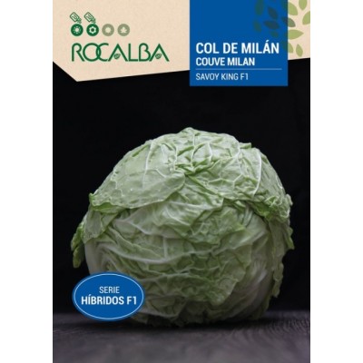 S.COUVE MILAN ROCALBA HIBRIDA F1 SAVOY KING