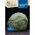 S.COUVE MILAN ROCALBA HIBRIDA F1 SAVOY KING