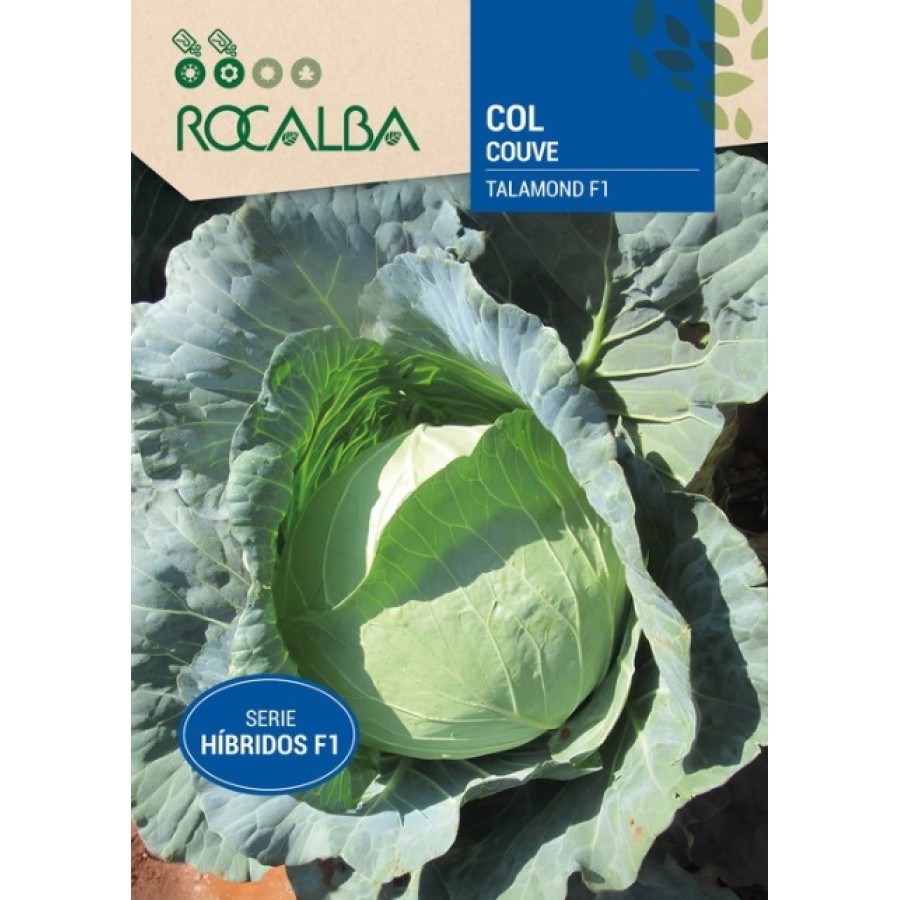 S.COUVE ROCALBA HIBRIDA F1 TALAMOND S.COUVE ROCALBA HIBRIDA F1 TALAMOND